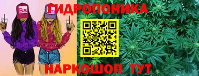 apvp Тара