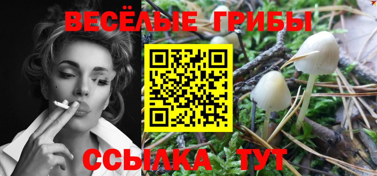 Псилоцибиновые грибы мухоморы  даркнет сайт  Мурманск  Вход с VPN 